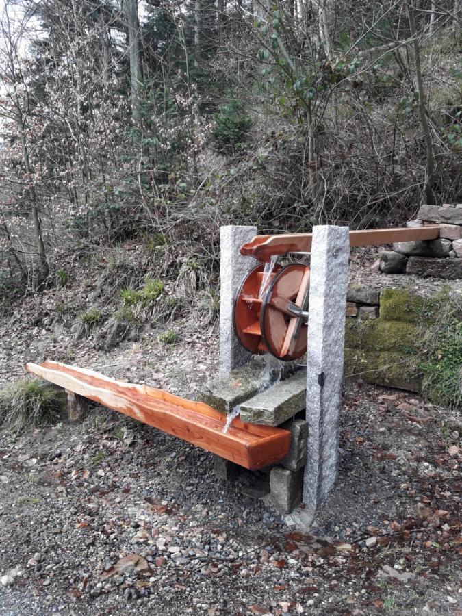 Ferienwohnung Am Wald Бад Хереналб Екстериор снимка