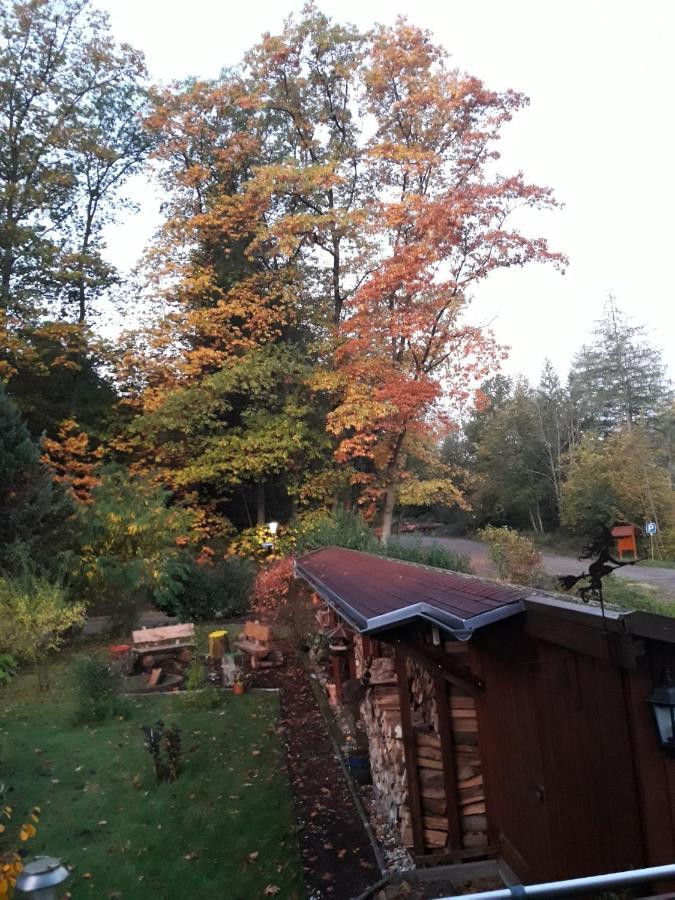 Ferienwohnung Am Wald Бад Хереналб Екстериор снимка